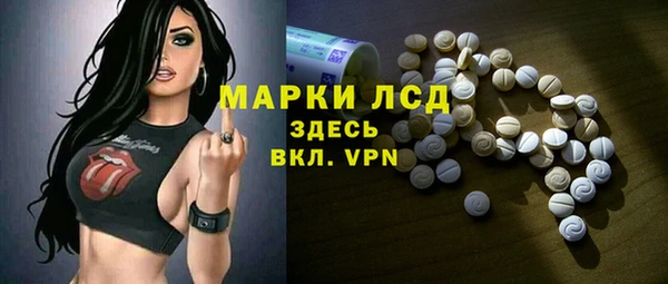 хмурый Алексин