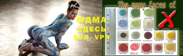 хмурый Алексин