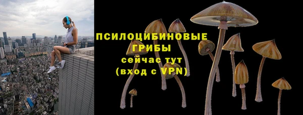 бошки Нязепетровск