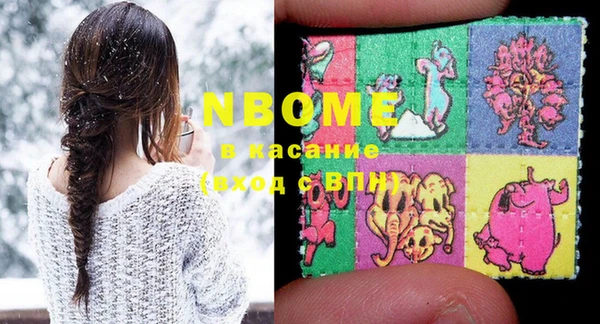 хмурый Алексин