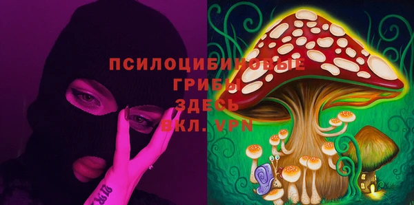 гидропоника Алексеевка