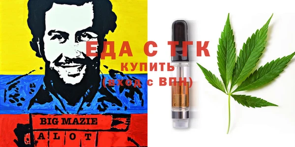 хмурый Алексин