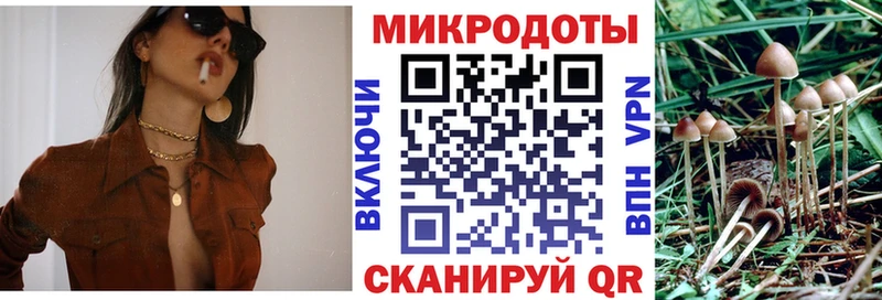 MEGA онион  Березники  Галлюциногенные грибы мицелий 